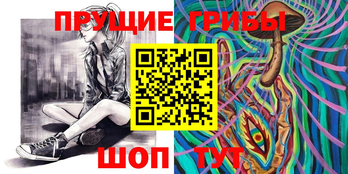 Галлюциногенные грибы Cubensis Владимир