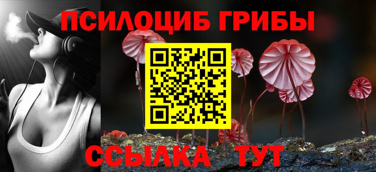 Галлюциногенные грибы MAGIC MUSHROOMS  Вход с VPN  Владимир 